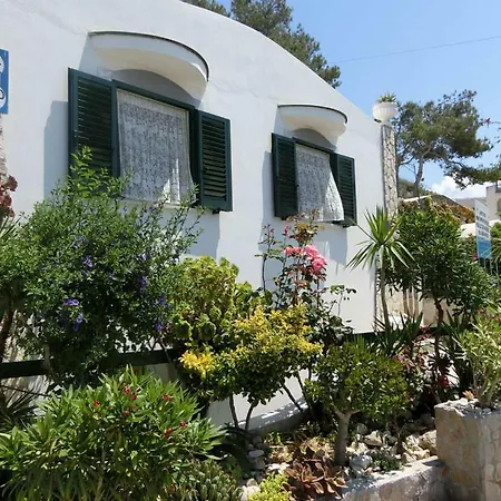 Blus Marine Home A 10Mt Dalla Spiaggia Holiday home *